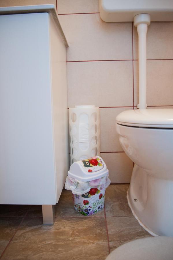 Cozy River View Apartment カルロヴァッツ エクステリア 写真